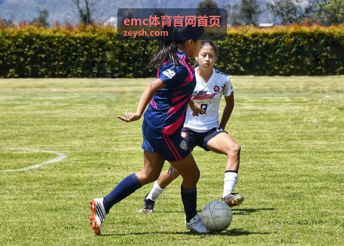 emc体育官网首页赛事资讯杯赛规则说明配图